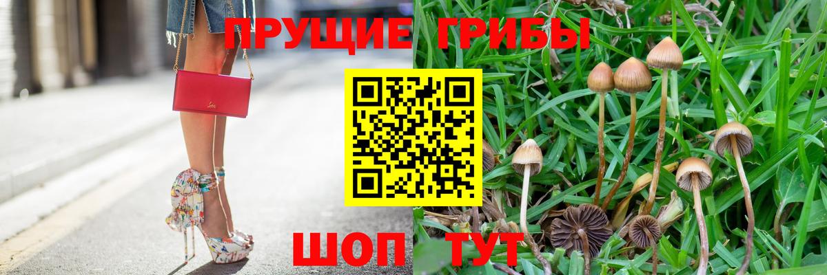 Сердобск  Галлюциногенные грибы мухоморы  Вход с VPN 