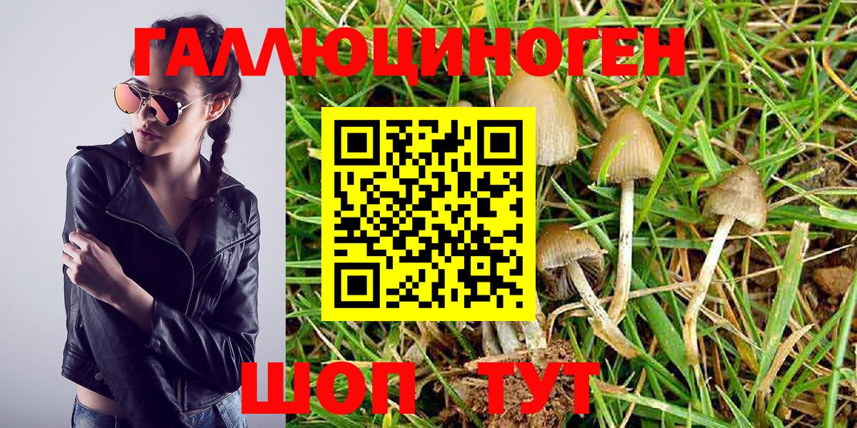 Псилоцибиновые грибы Magic Shrooms Сердобск